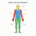Ilustración del cuerpo recortada a cuadrado